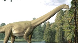 Художественная реконструкция Diamantinasaurus matildae во время еды / © Travis Tischler Художественная реконструкция Diamantinasaurus matildae во время еды / © Travis Tischler